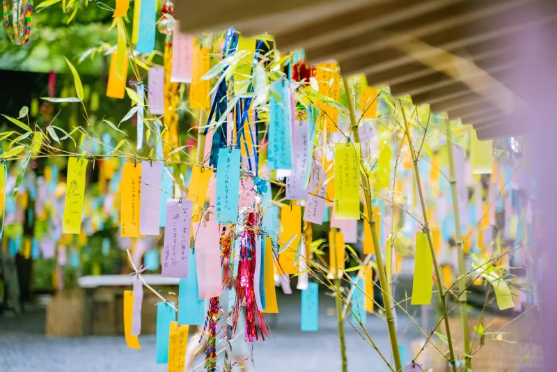 Marking the Year: How American Families Are Using Japanese Seasonal Observances to Reclaim Time from the Digital Current